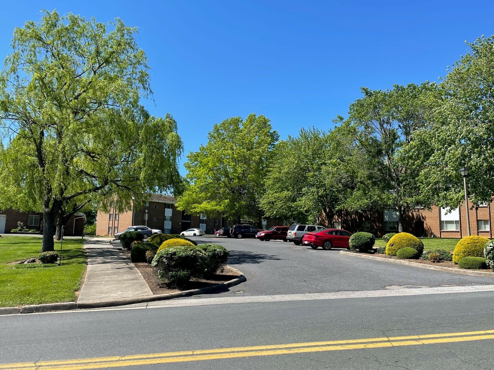 View Photos Lexington Springs Apartments