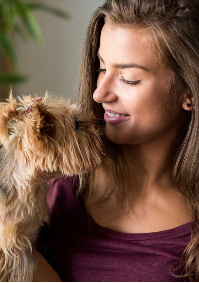 Campus Heights Pet Policy