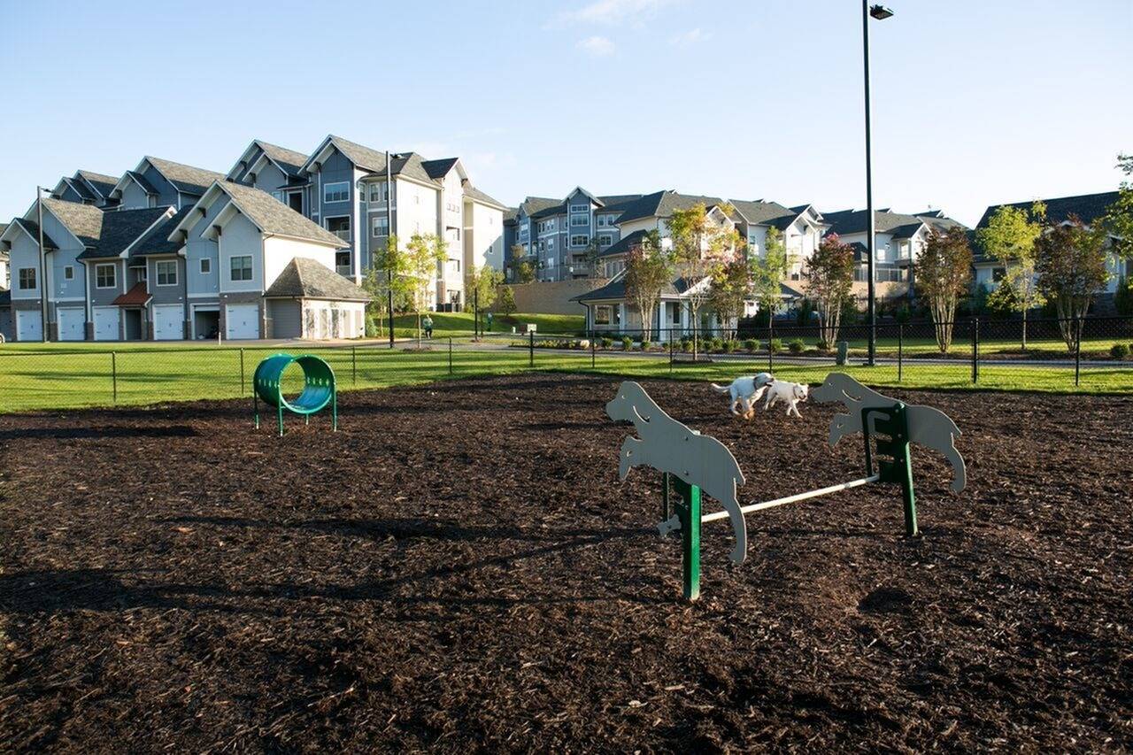 Pet Park Agility Course