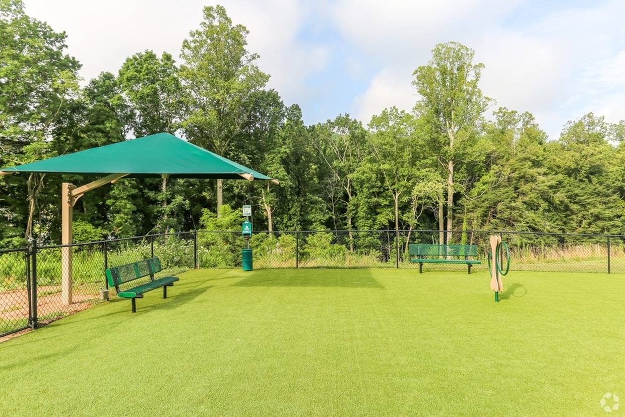 Pet Park designed for pooch play time!