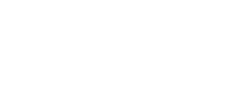 Lion Village Logo