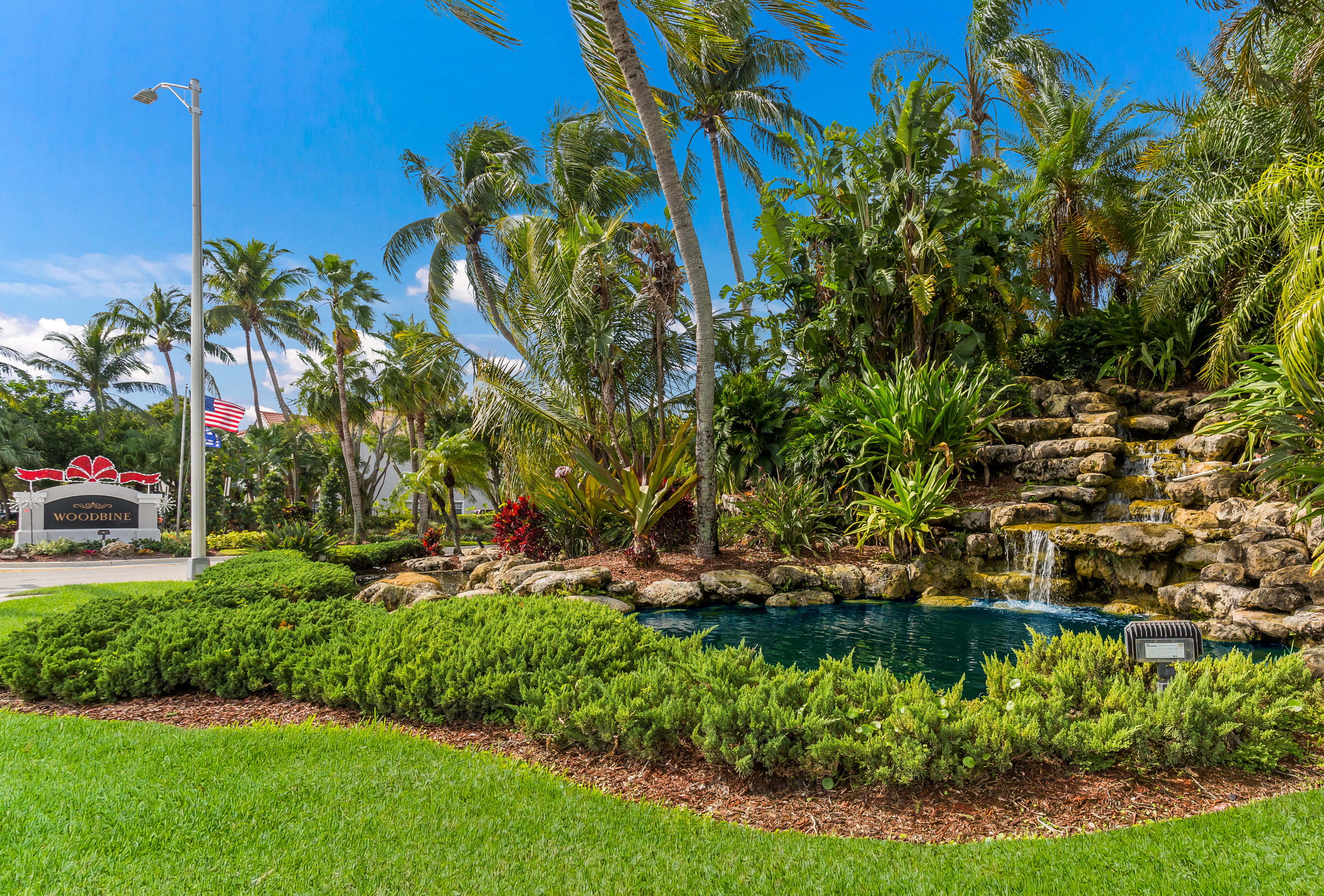 Woodbine pool and tropical landscaping