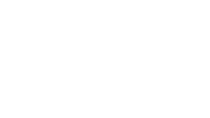 RISE: A Real Estate Company