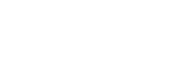 Sleek logo design for Bower Westside featuring elegant lettering and minimalist leaf accents.