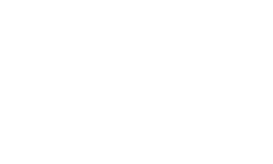 VDV White