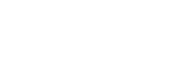 The Verge Orlando Logo