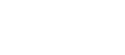The Kingston Logo