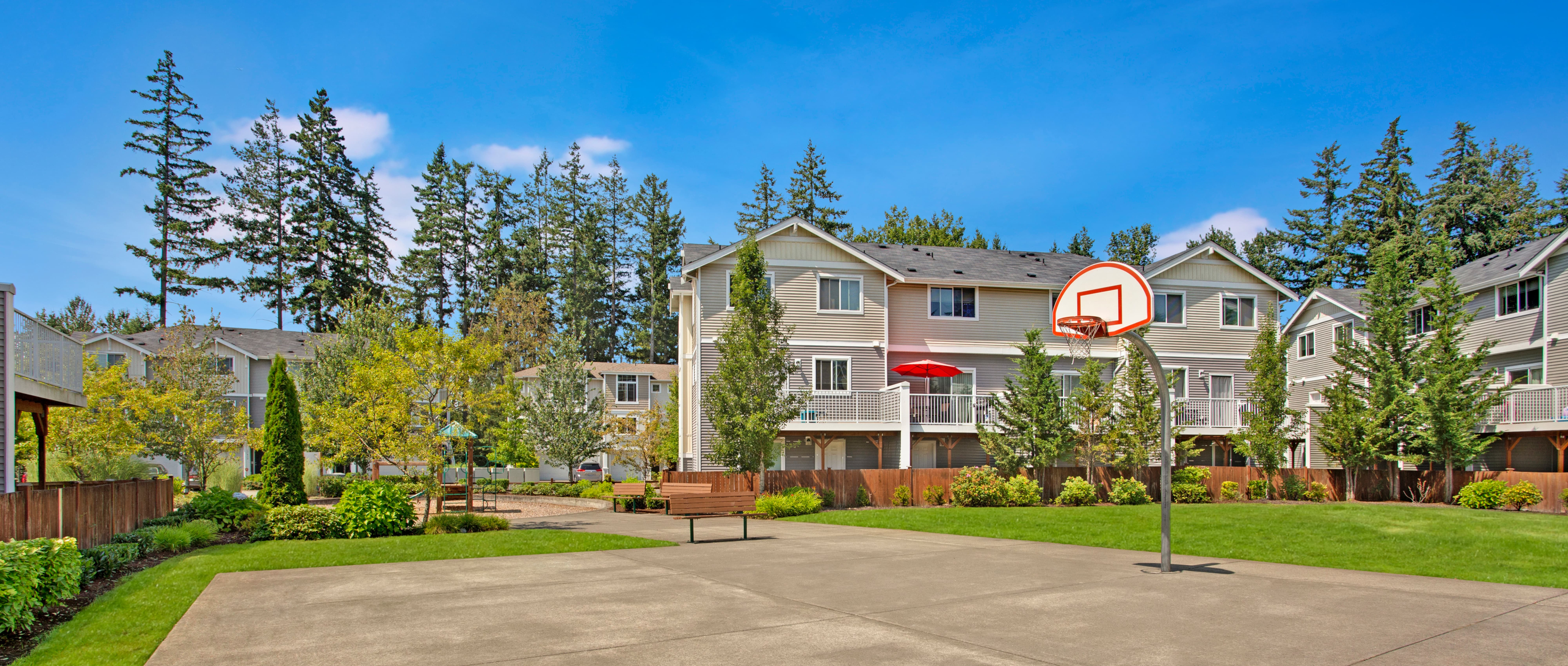 Basketball court with basketball hoops and grass around it with bushes and Apartment buildings