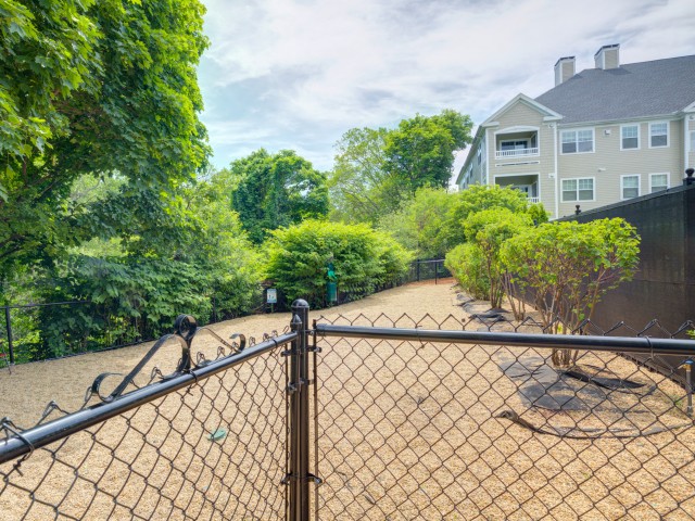 Fenced dog park