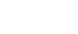 DV logo