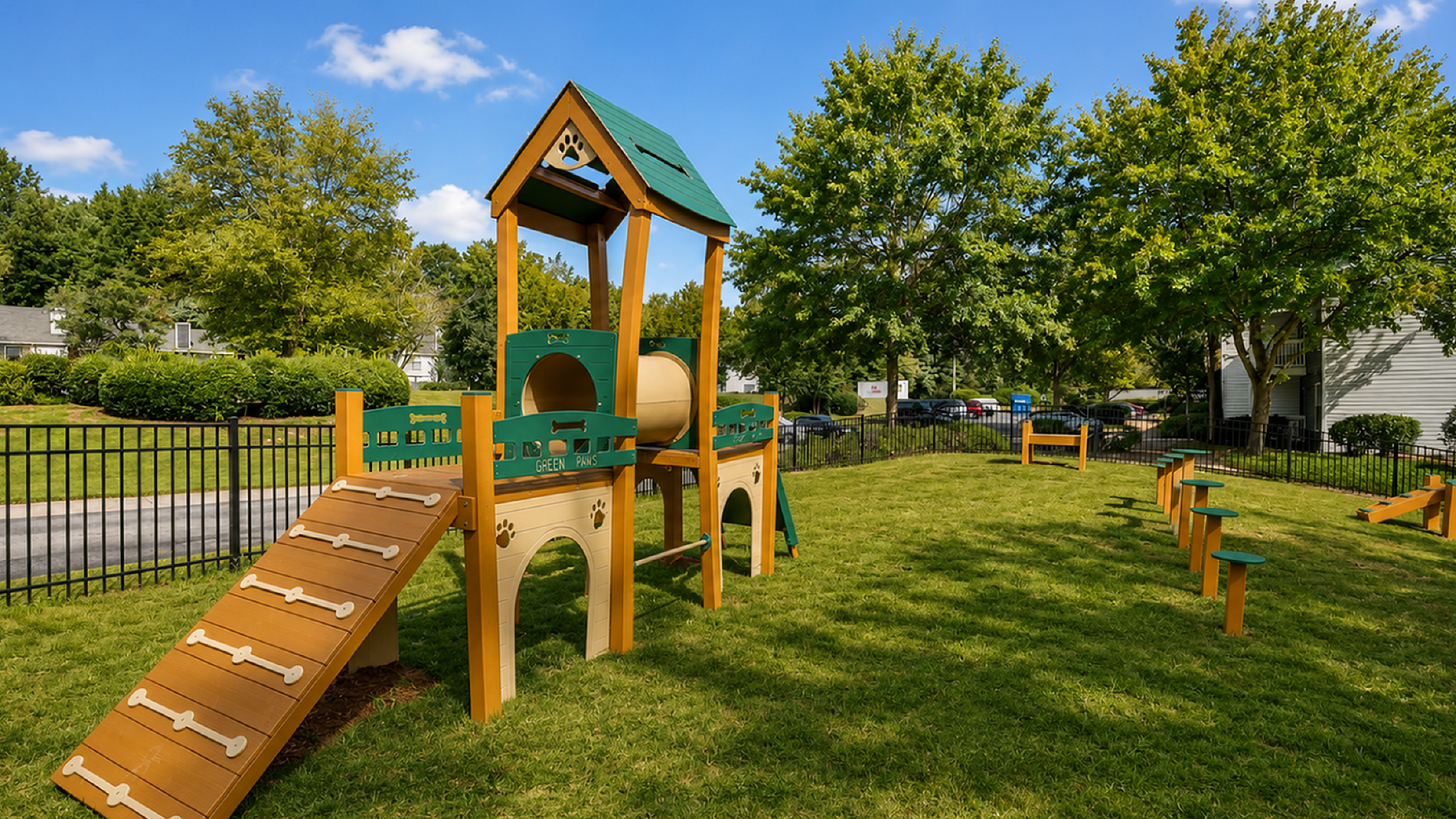 dog park