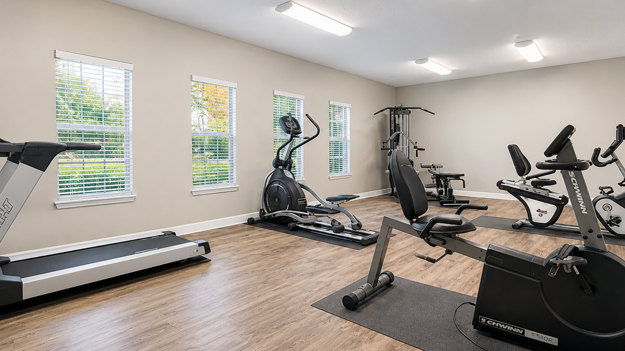 gym