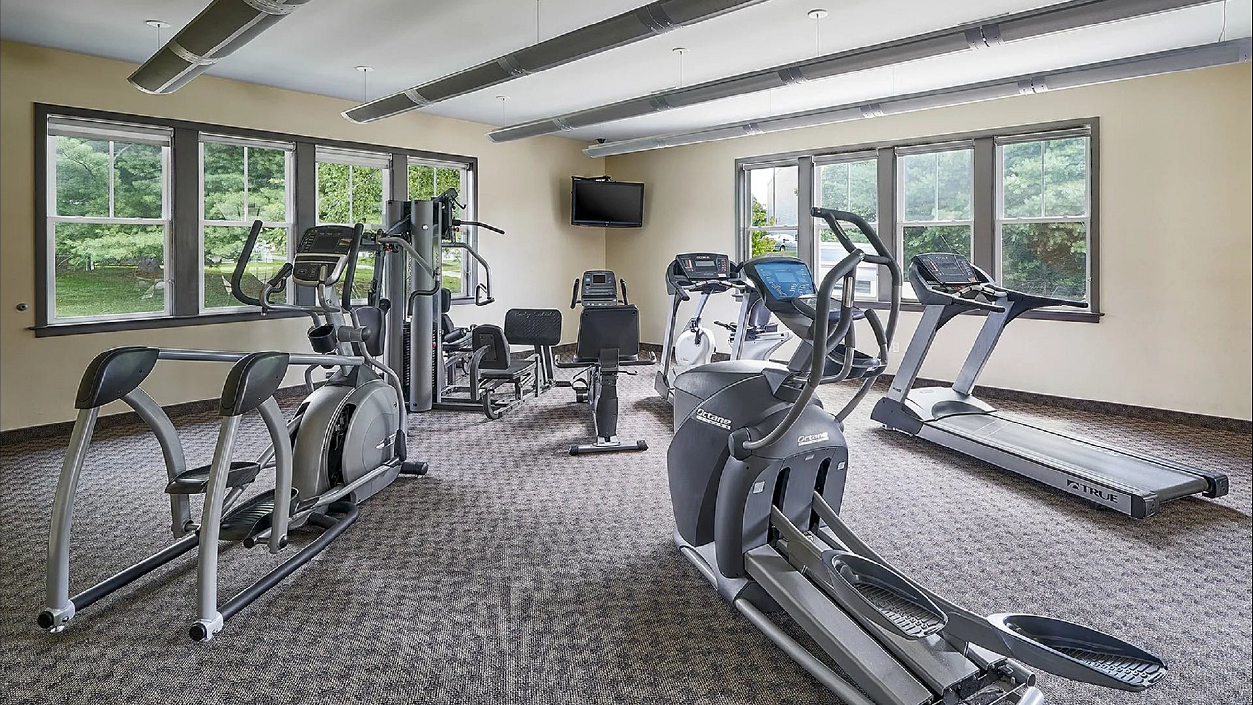 Bright and modern gym with state-of-the-art cardio equipment and large windows offering a scenic view.
