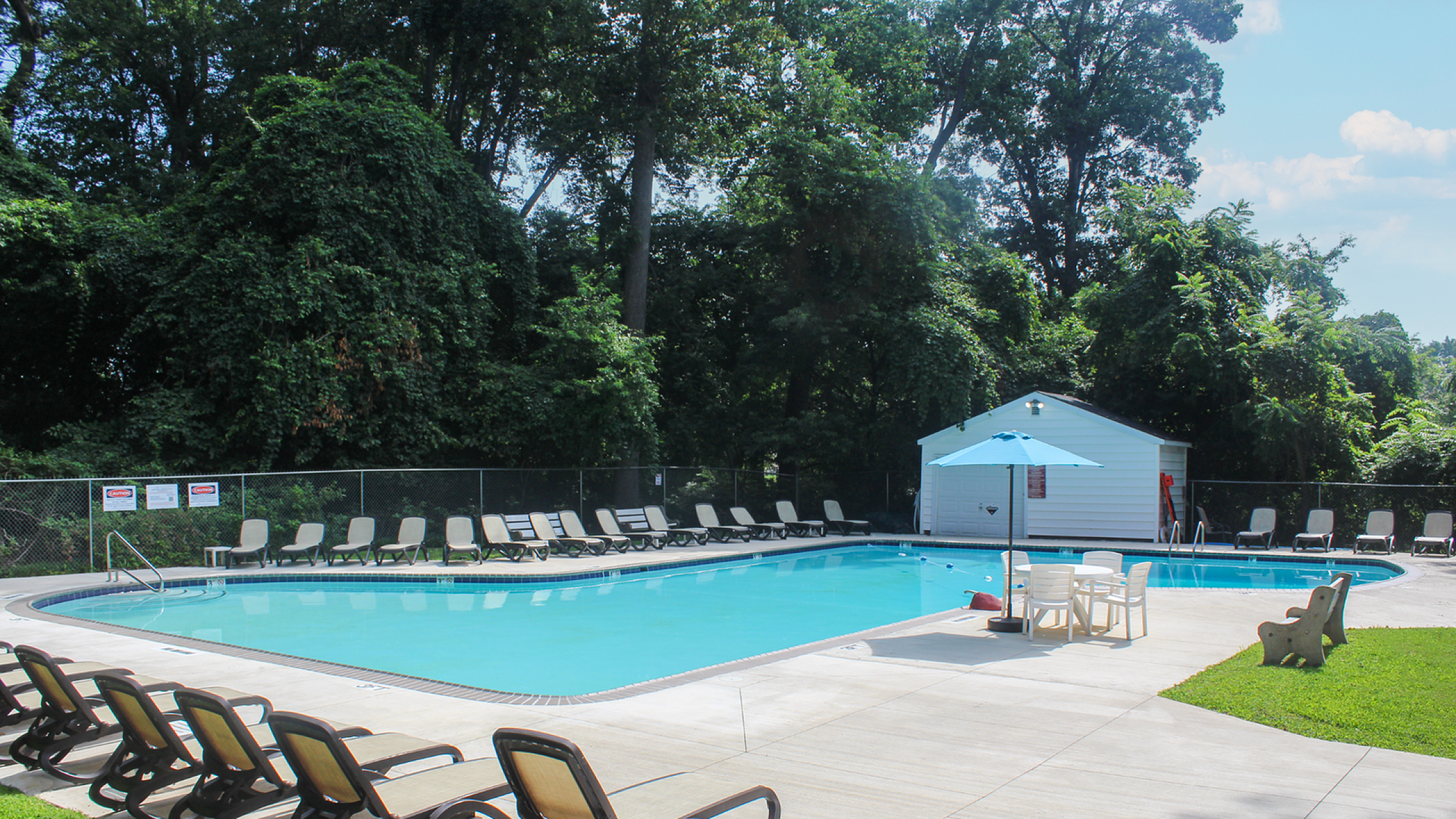 Inviting outdoor pool area surrounded by lush greenery, featuring lounge chairs and a cozy seating area with an umbrella.