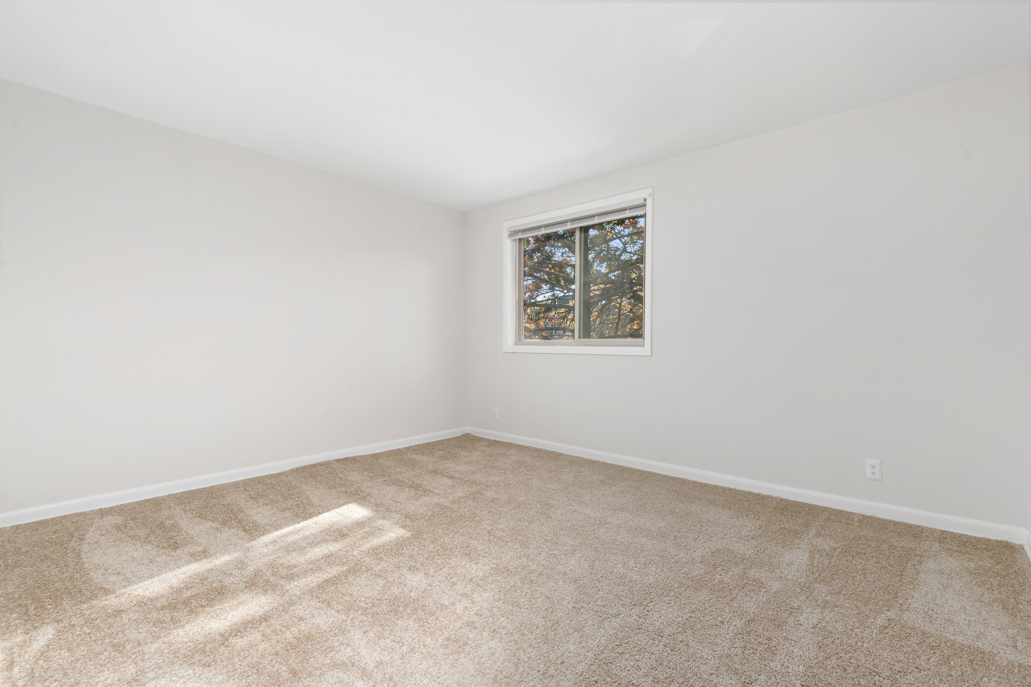 Pine 2 Bed Apartment 101 N Ripley