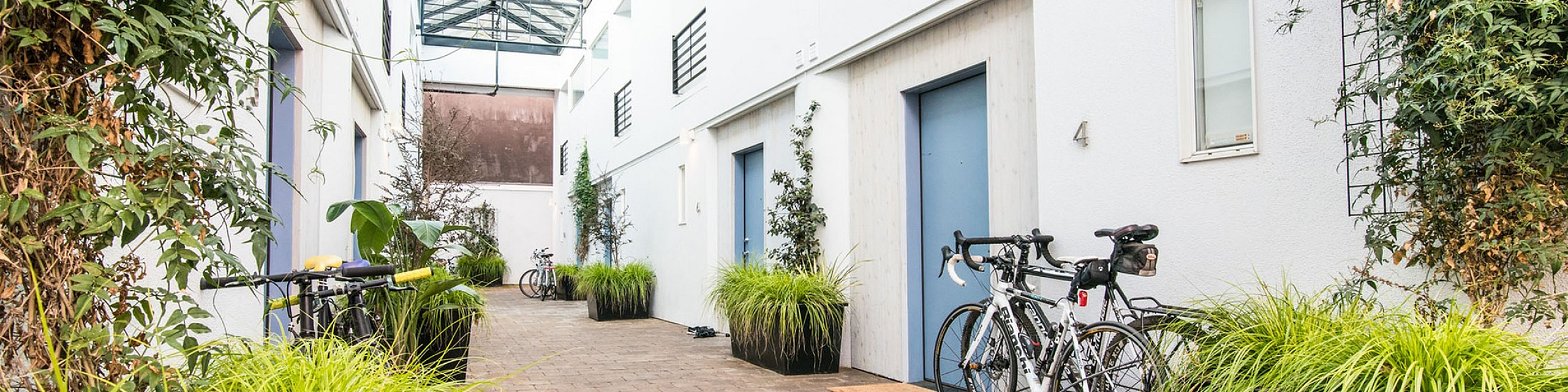 paved walkway with decorative plants near the doors