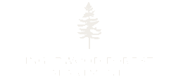 Elegant logo for Inglewood Forest Apartments featuring a stylized tree design, embodying nature and tranquility.