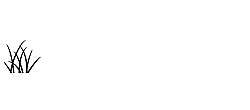 La Esplanada Apartments logo featuring sleek grass design and modern typography.