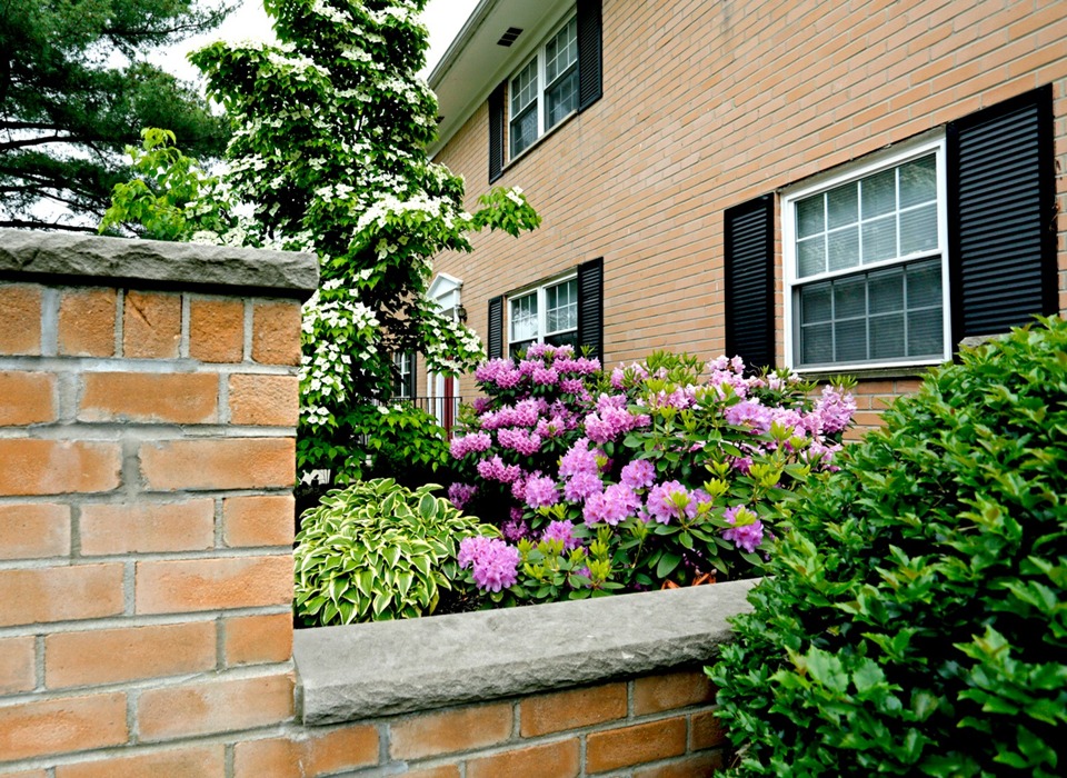 Brick Wall Flowers
