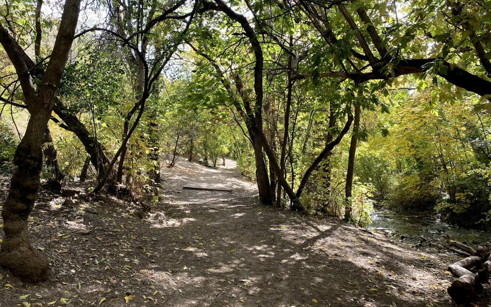 Walking trail near City Creek Canyon in Salt Lake City featuring a natural pathway and creekside scenery.