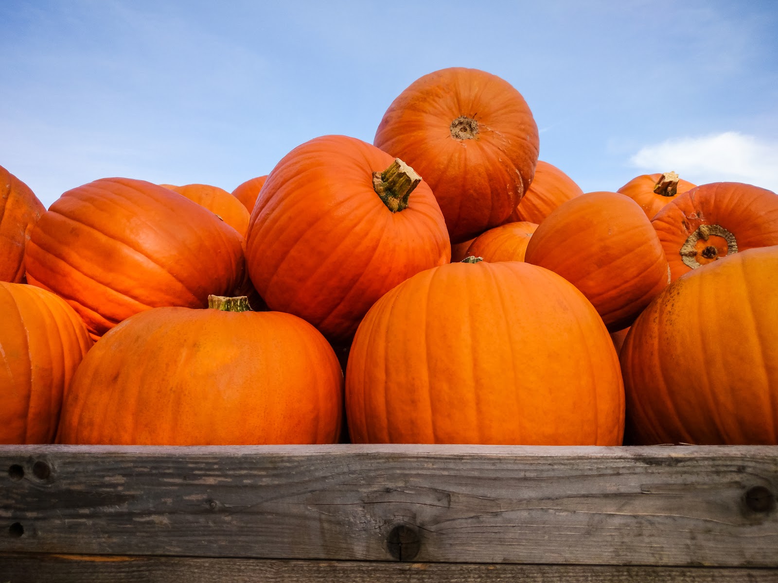 Independence Place Blog, Cranston, RI Pumpkins are the quintessential Halloween icon, and this month we've got a few ways to use them in our post.