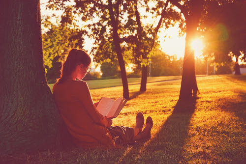 Park Station Blog, Gaithersburg, MD Book recommendations for memoir, mystery, and fiction novels are the subject of today's blog post. Check it out!