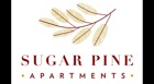 SP Logo