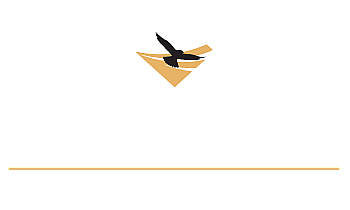 Elegant logo for Residences at Falcon North Luxury Apartments showcasing a soaring falcon above the refined text, symbolizing premium living.