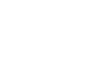 Rise at the Northern Logo
