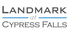 Sleek logo featuring the words 'Infinity Brands Premium Lifestyle Medicine' with an infinity symbol.
