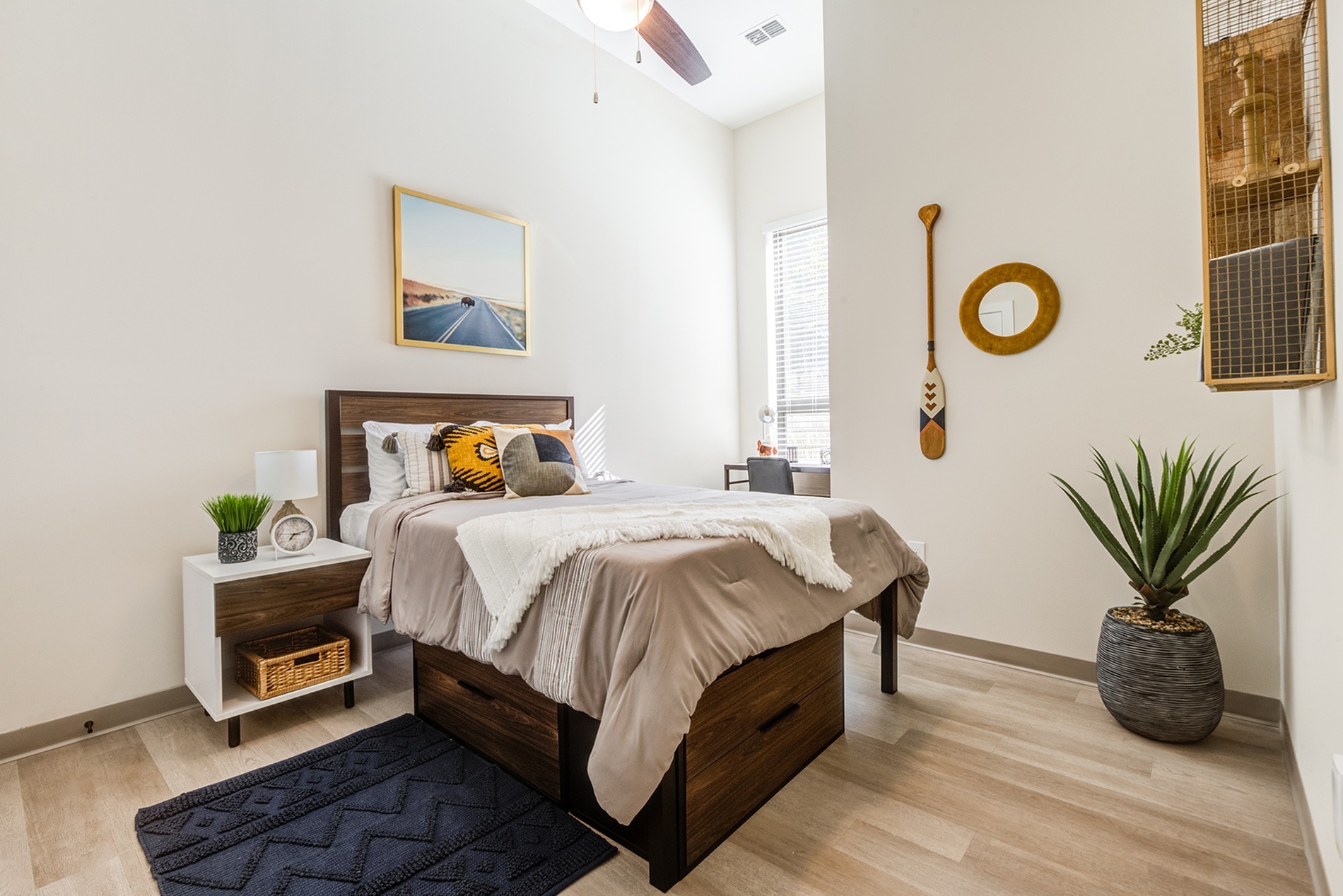 The Nest at University Center - Rock Hill student accommodation
