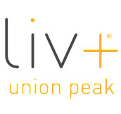 Liv+ Union Peak Logo