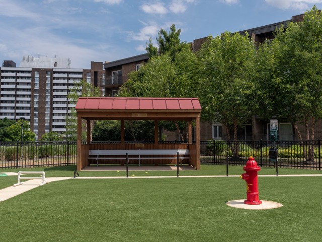 Dog Park Dog Park
