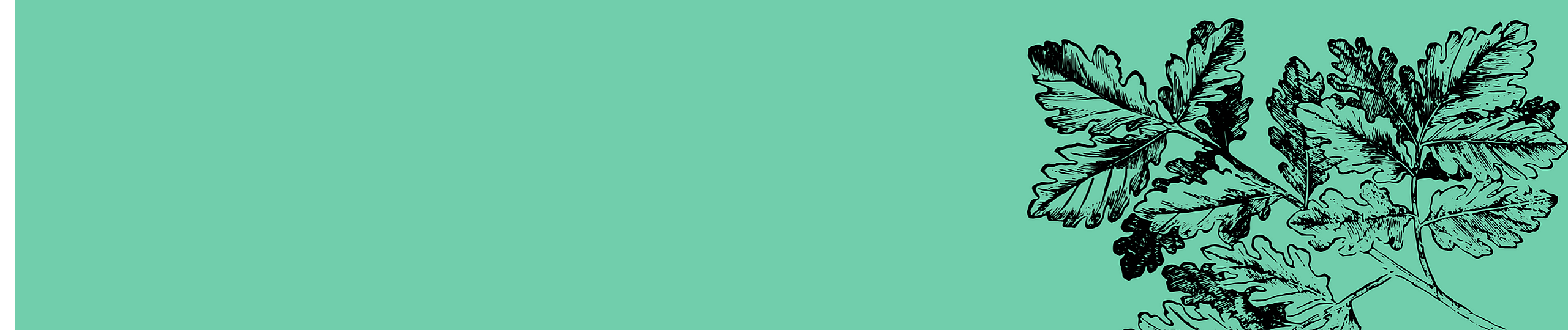 Elegant illustration of a leafy branch on a vibrant teal background, perfect for modern and minimalist decor.