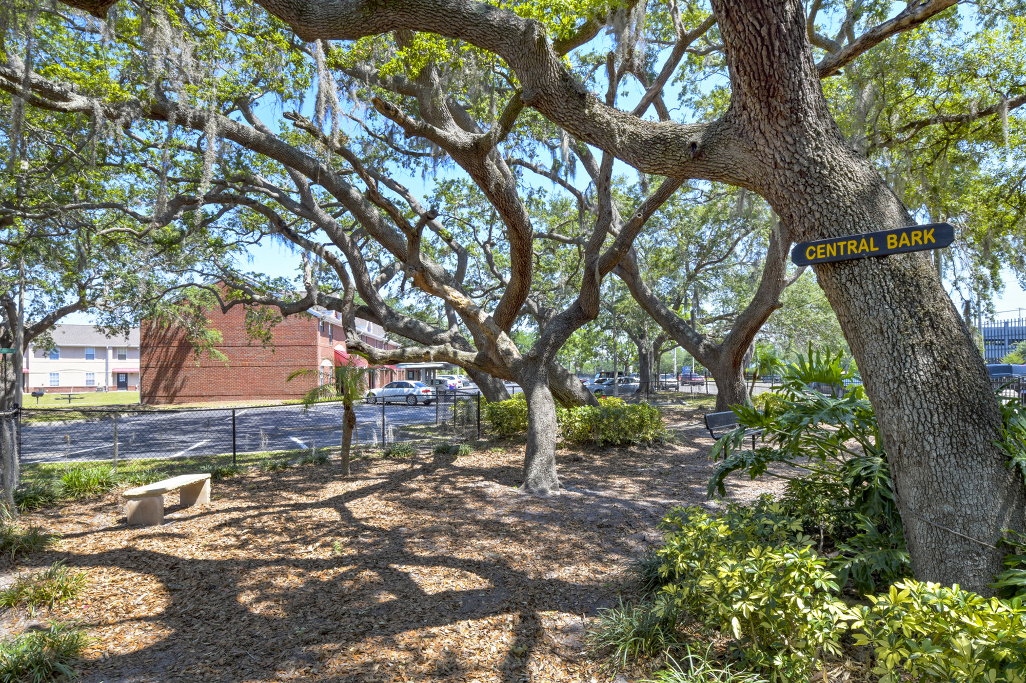 Campus Crossings on Alafaya 4