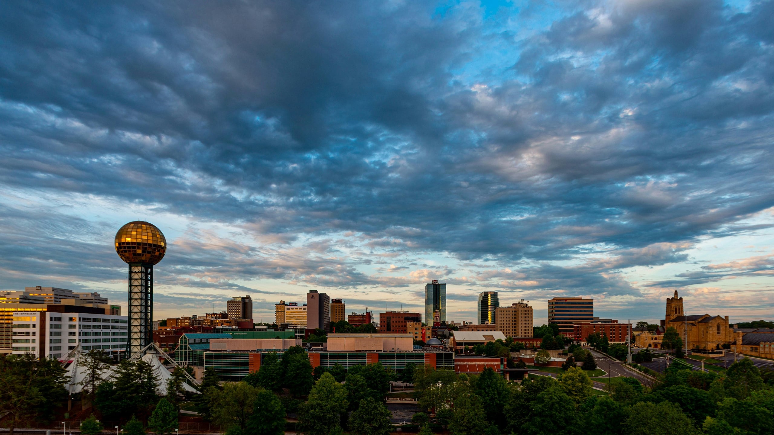 tenn student living downtown knoxville
