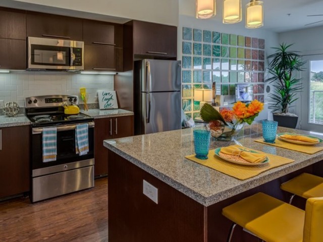 Image of High End Granite Finishes for The View at Cedar Park