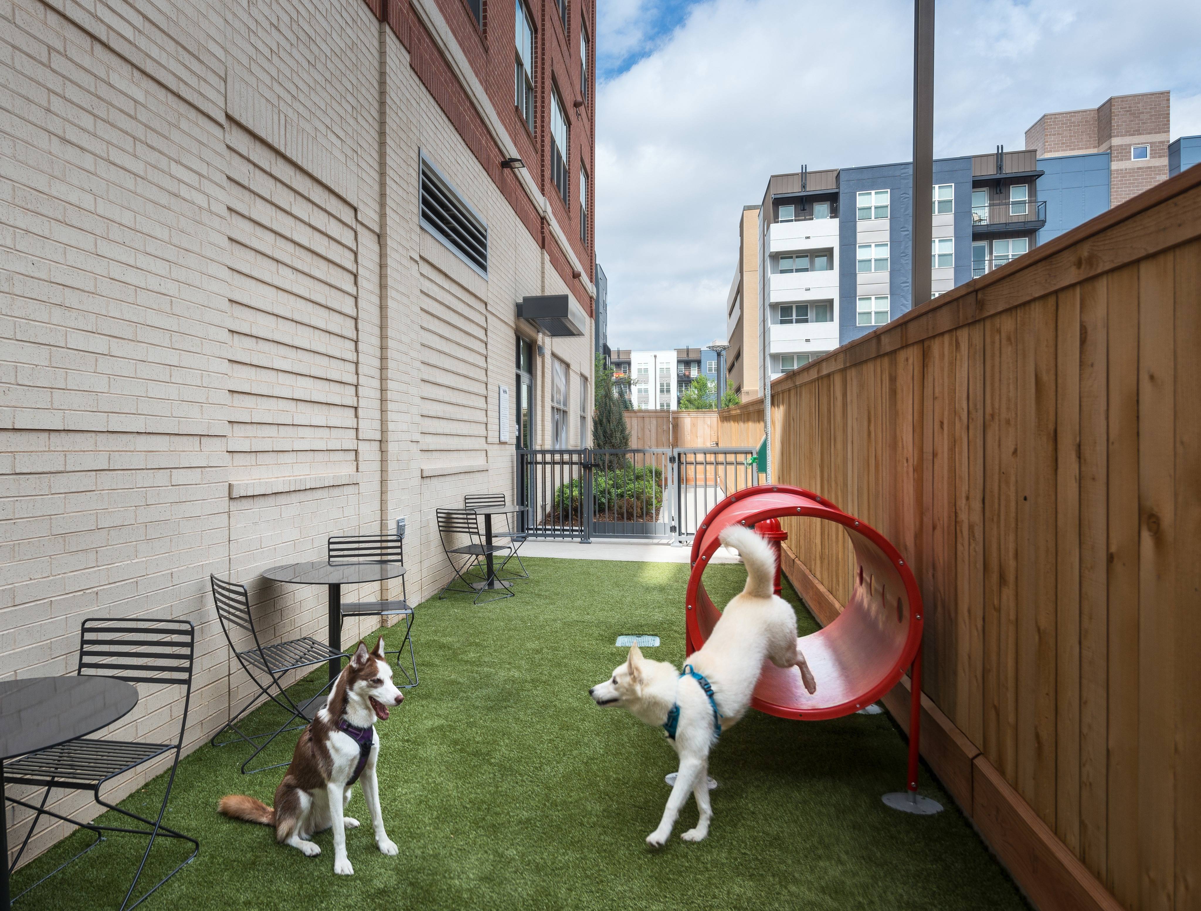 Luxury Apartments in Denver Photos Hanover Evans Station