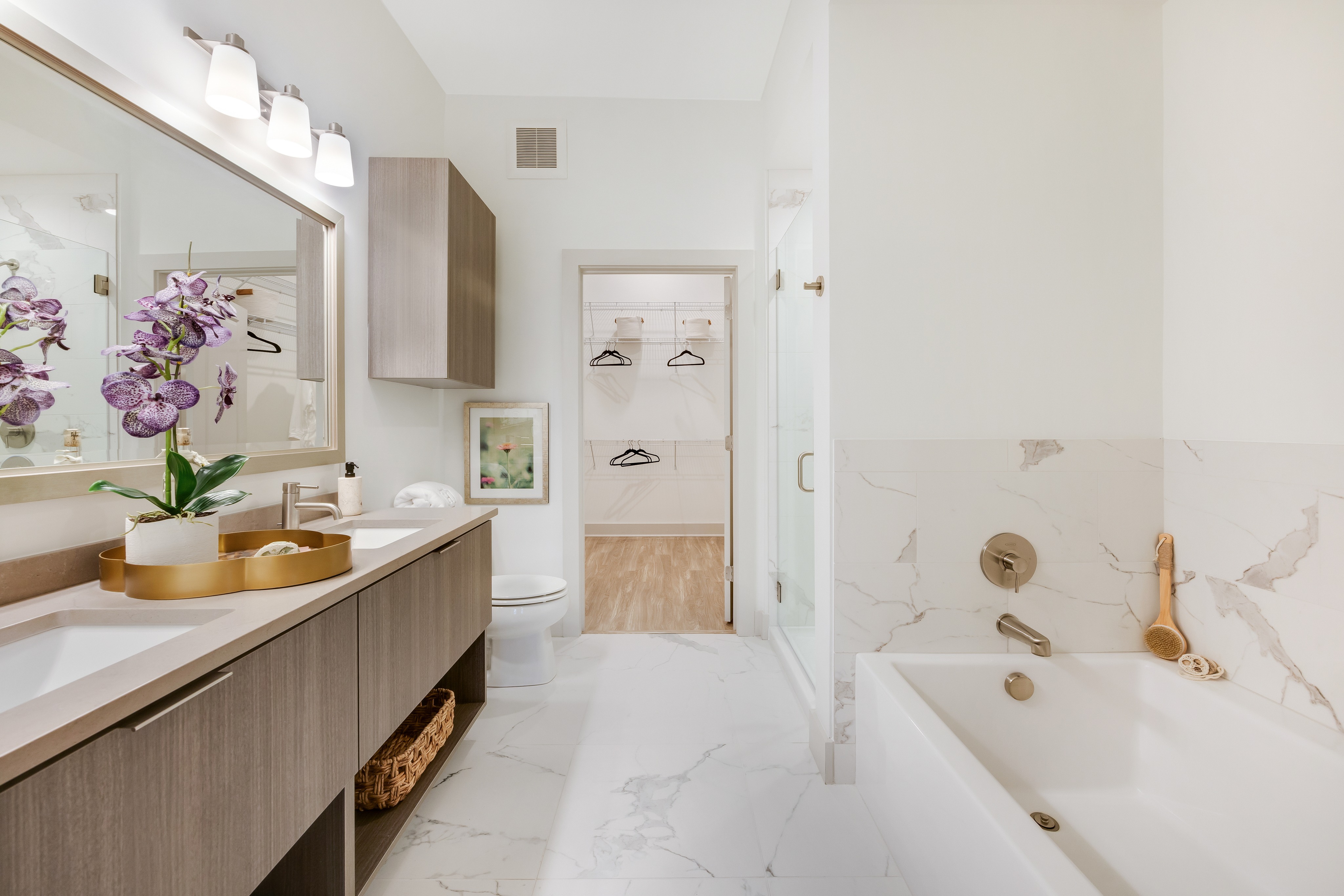 Hanover Colony Place Amenities Luxury Plymouth Apartments