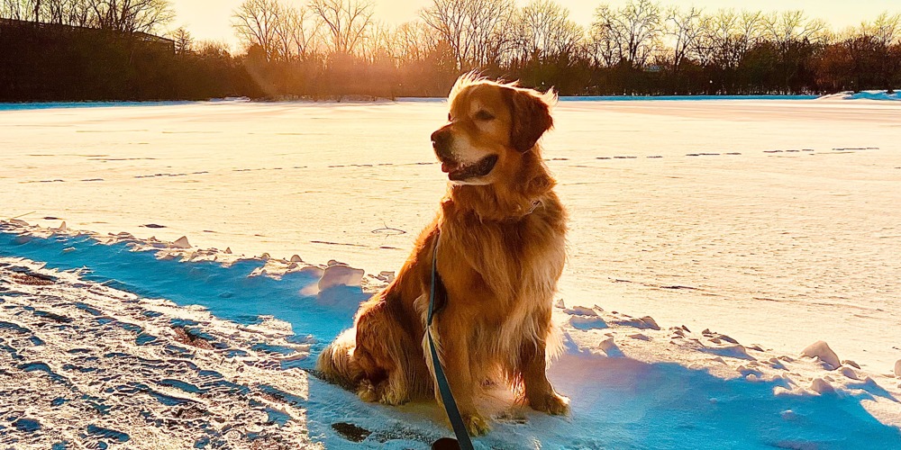 Lake+House Wheeling, IL Apartments Official Site