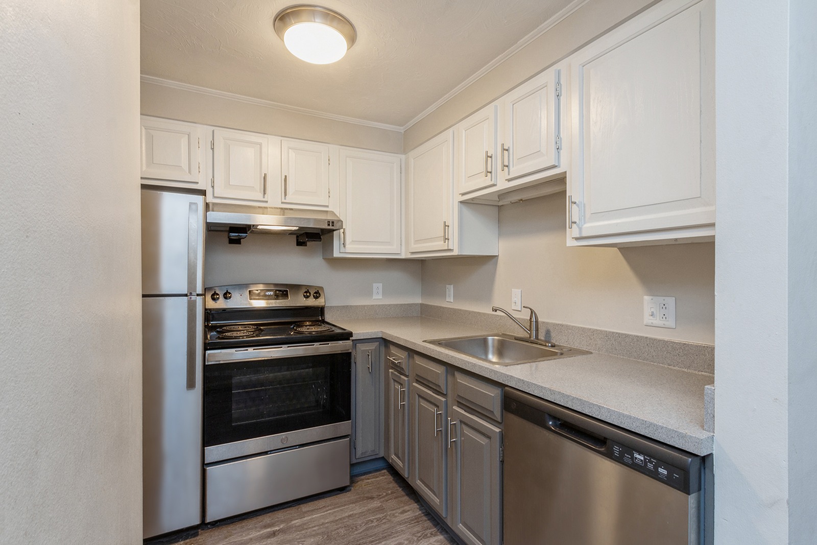 Pet Friendly Apartments In Taunton MA ReNew Taunton