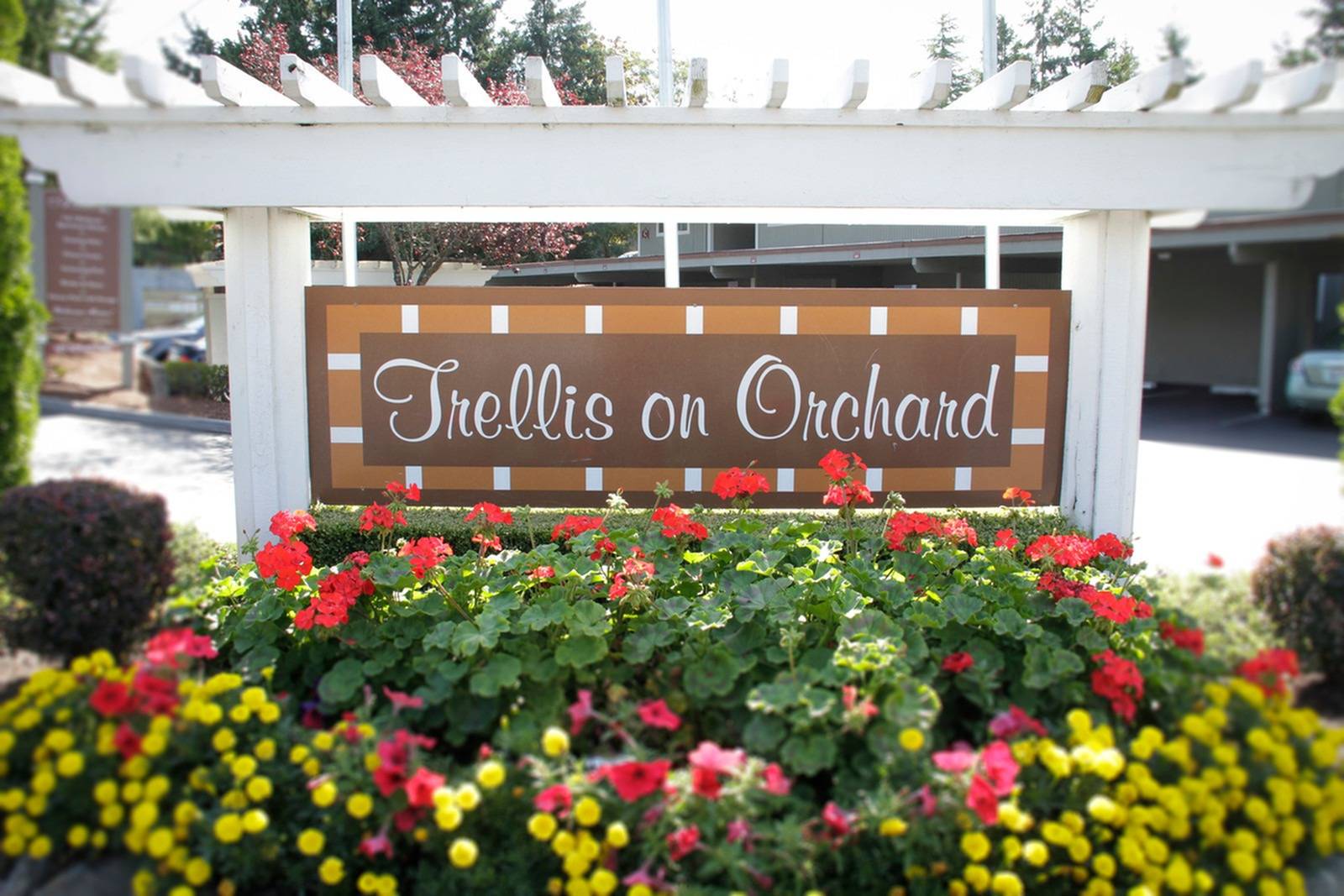 Apartments Trellis on Orchard