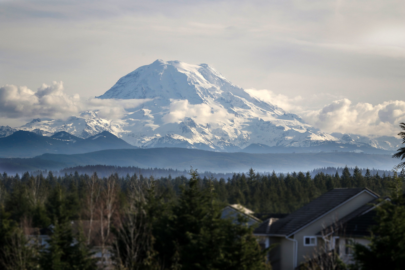 Apartments 1500 Orchard