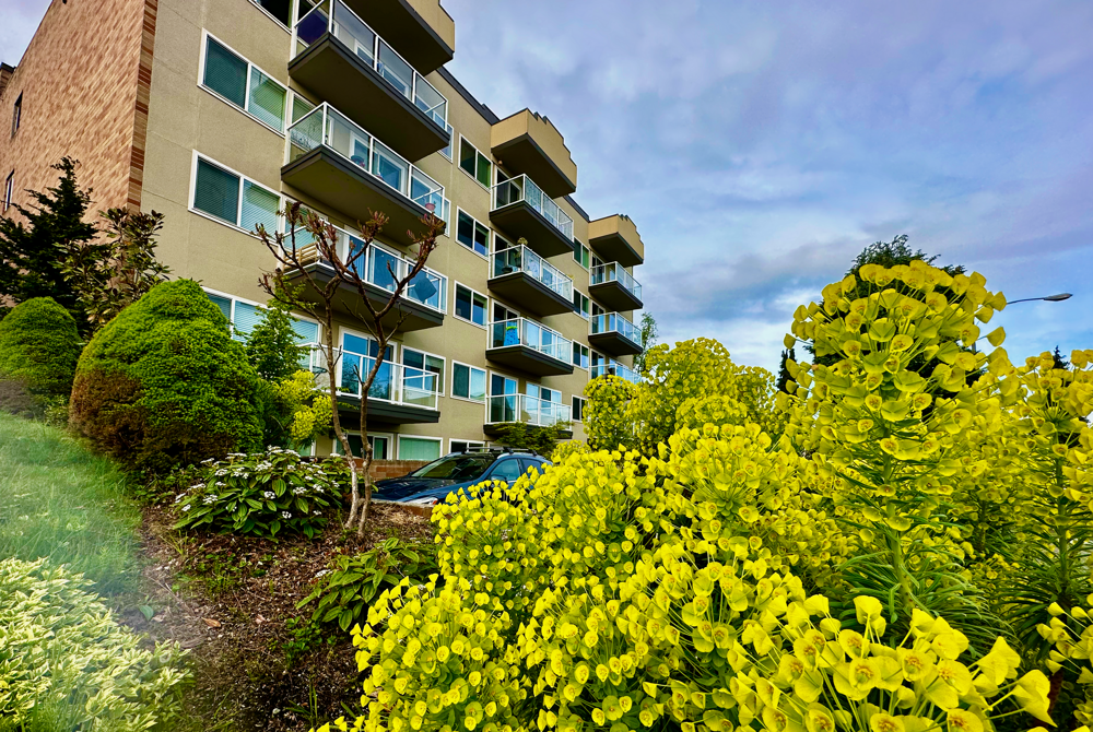 Vista Terrace Apartments Apartments In WA