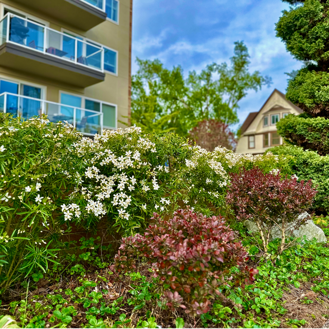 Vista Terrace Apartments Apartments In WA