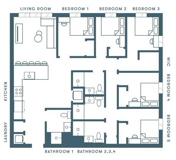 OLIVAuburn Glenn Apartment Rentals