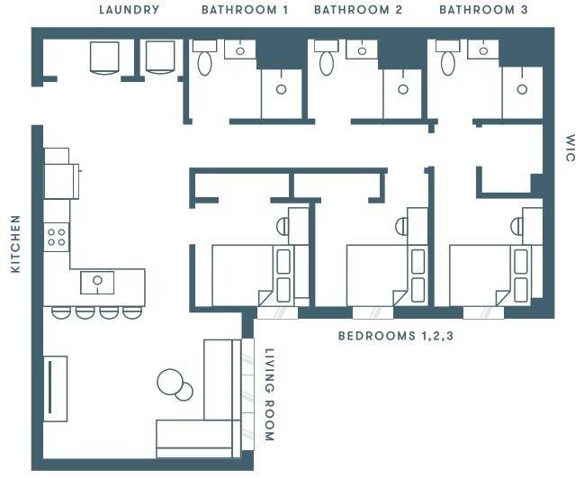 OLIVAuburn Glenn Apartment Rentals