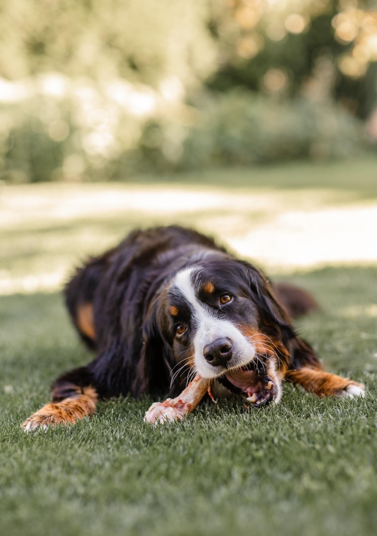 Hidden Lake Apartments