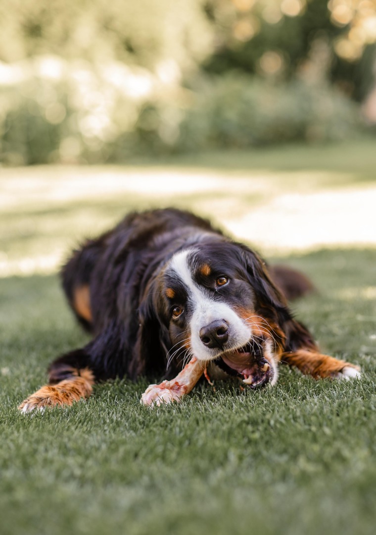 Aurora Meadows Apartments In Aurora, CO