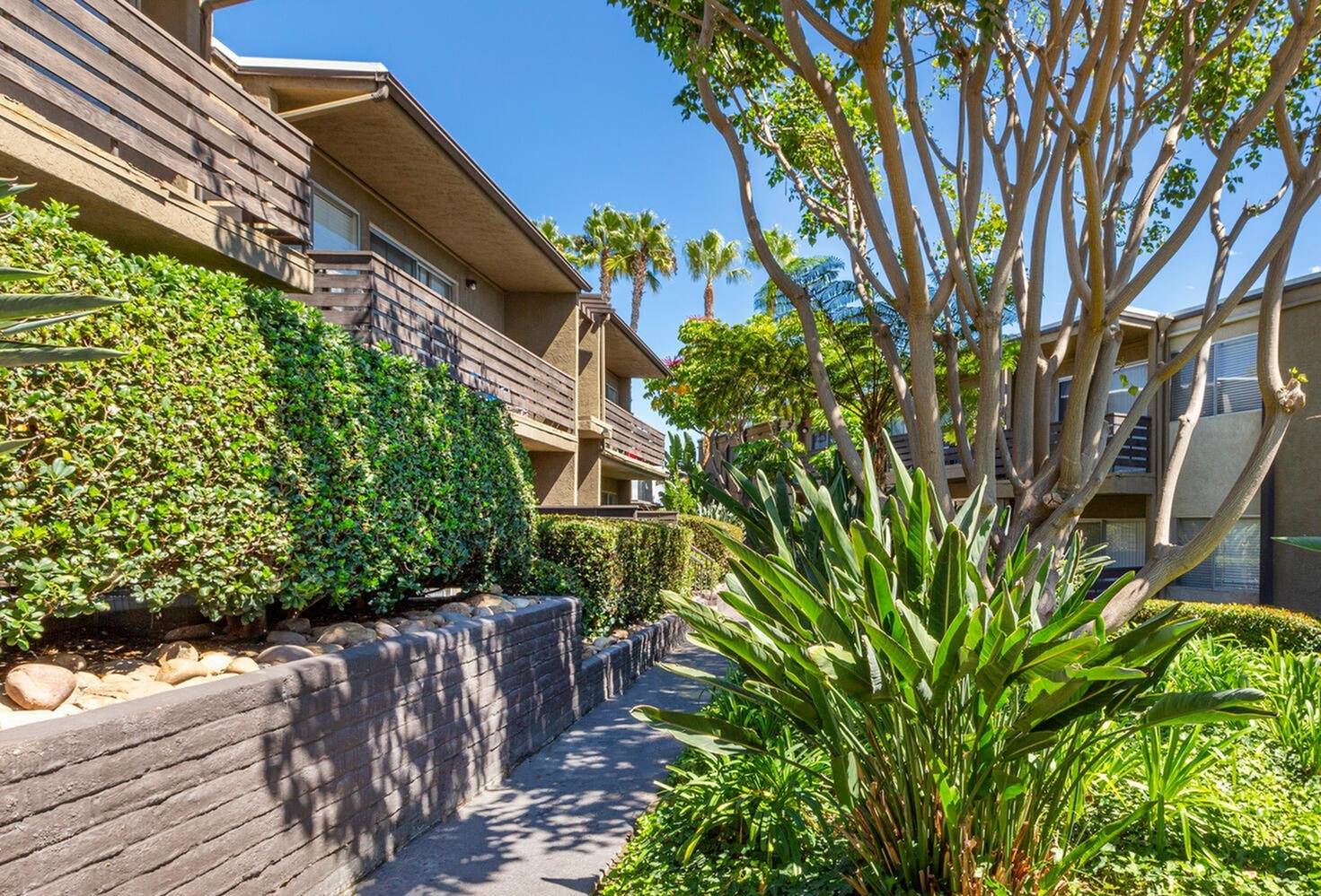 Apartment Homes for Rent in La Mesa, CA Elan Avante Apartments